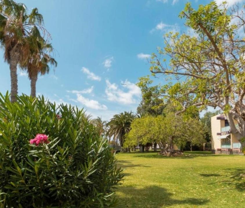 Galeria De Arte. Apartamento Arona  Exterior foto
